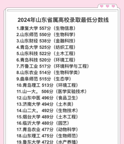 2024年山东507分能报的大学有哪些