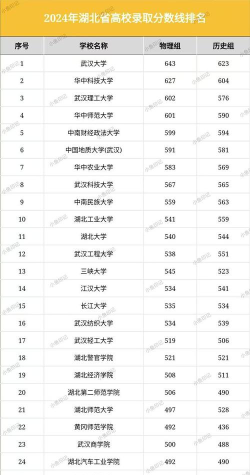 2024年湖北历史类247分能报的大学有哪些