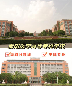 南阳医学高等专科学校是211大学吗