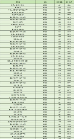 2024年重庆物理类374分能报的大学有哪些