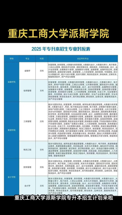 重庆工商大学派斯学院2023年在云南各专业招生人数
