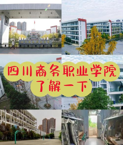 四川商务职业学院2023年在云南各专业招生人数