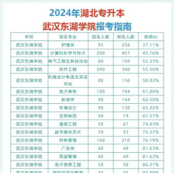 武汉东湖学院2023年在青海各专业招生人数
