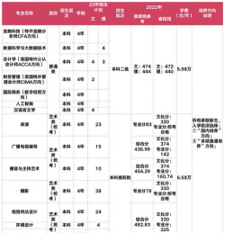 上海立达学院2023年在新疆各专业招生人数
