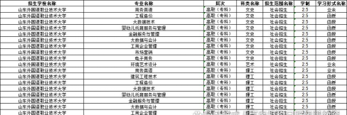 山东外国语职业技术大学2023年在新疆各专业招生人数