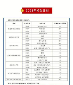 上海视觉艺术学院2023年在广东各专业招生人数