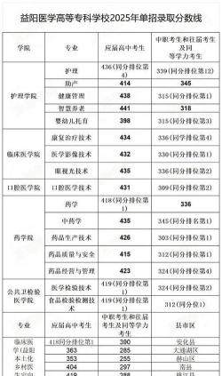 益阳医学高等专科学校2023年在广东各专业招生人数