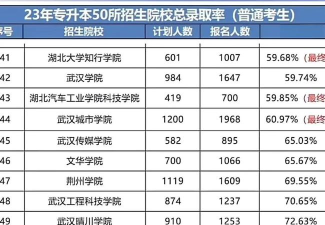 武汉晴川学院2023年在广西各专业招生人数