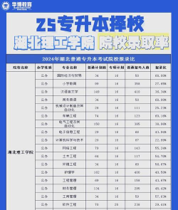 湖北理工学院学校代码是10920