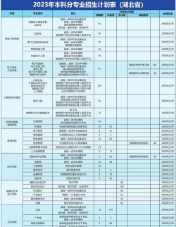 武汉东湖学院有哪些中外合作办学专业?
