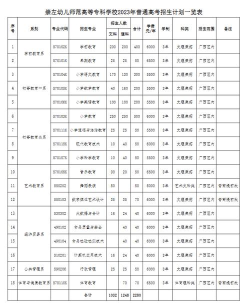 崇左幼儿师范高等专科学校艺术类专业有哪些