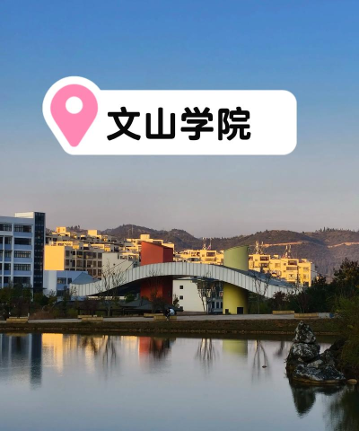 文山学院学校代码是11556