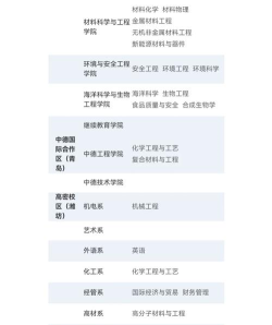 青岛科技大学有哪些中外合作办学专业