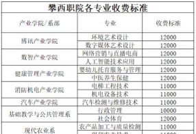 攀枝花攀西职业学院开设哪些专业