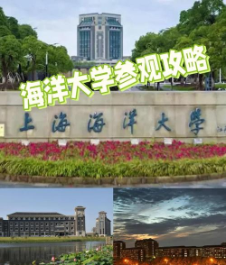 上海海洋大学是211还是985(上海海洋大学）