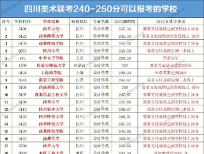 四川艺体240分能报考什么学校