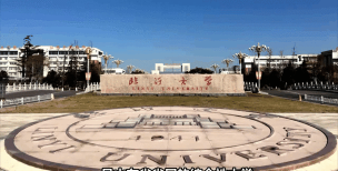 临沂大学占地排名