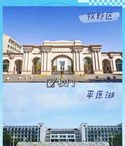 河南师范大学有几个校区及校区地址
