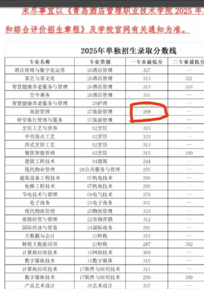 泰安大学单招有哪些