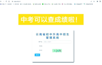 云南中考查录取状态怎么查