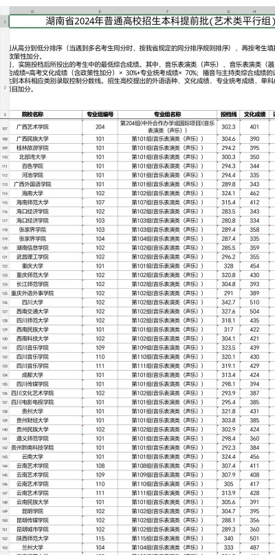湖南艺术类大学排名 湖南艺术类大学排名