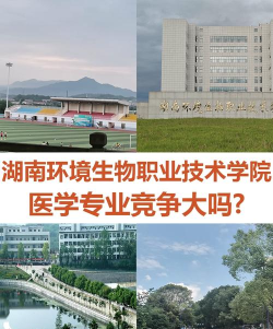 湖南环境生物职业技术学院官网地址是什么 湖南环境生物职业技术学院官网地址是什么