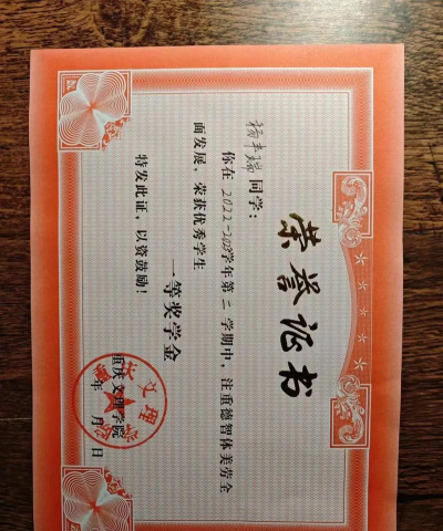 交大医学院本科生奖学金有哪些 交大医学院本科生奖学金有哪些