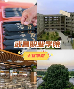 武昌职业学院是专科吗 武昌职业学院是专科吗