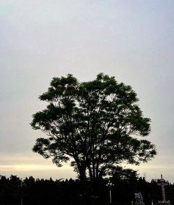 运城护理职业学院官网地址是什么 运城护理职业学院官网地址是什么