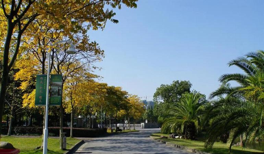 浙江旅游职业学院地址 浙江旅游职业学院地址