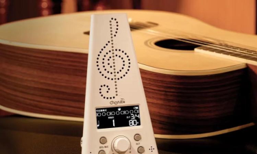 平果丁页尖节拍乐器有限公司