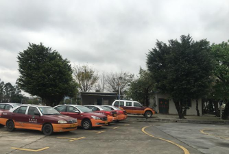 佛山市禅城区东弈体育培训有限公司