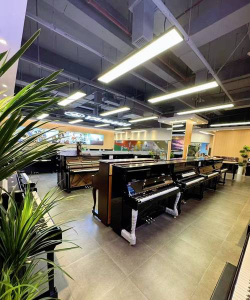 贵阳市乌当区星博雅艺术培训中心有限公司