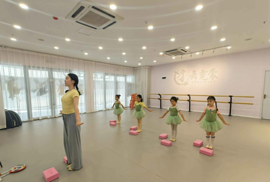 将乐县心舞艺术培训有限公司