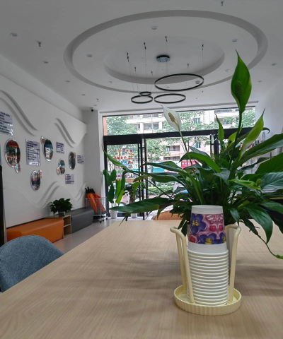 南充市高坪区南星艺术教育咨询有限公司