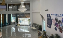 佛山市禅城区亚美艺术培训有限公司