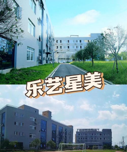 乌鲁木齐星美艺术培训有限公司