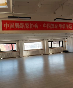 大连市沙河口区舞驿文化艺术培训学校有限公司