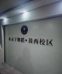 徽县舞之灵艺术培训有限公司