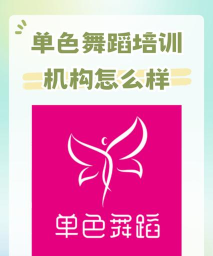 贵阳市南明区粉色足尖舞蹈艺术培训中心