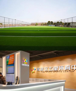 石嘴山市大武口区星河体育培训中心有限公司