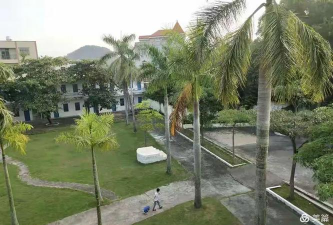 茂名市电白区旦场镇金村小学