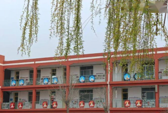 平阴县东阿镇东直沟村幼儿园