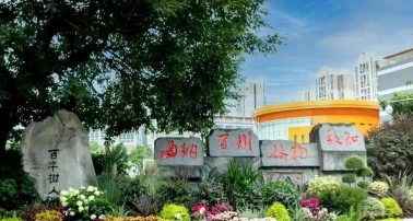 成都武侯金鹏科技实验学校