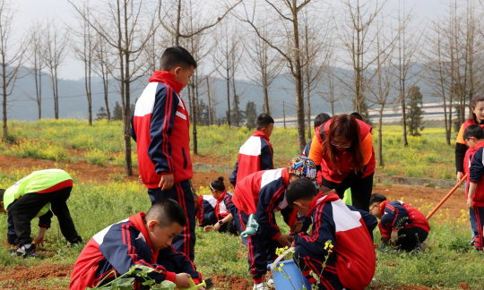 云南省罗平县罗雄镇东屏小学