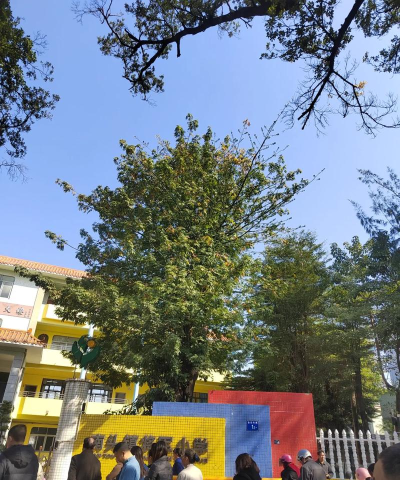 佛山市禅城区深村第一幼儿园