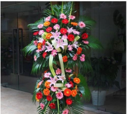 浙江省临安市岛石镇小学