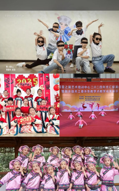 葫芦岛市连山区蓓蕾艺术辅导有限公司