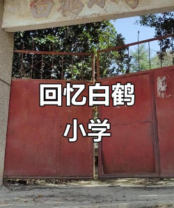 宁波市白鹤小学