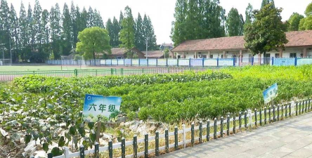 宁波市江北区江花小学